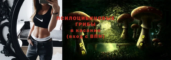 прущие грибы Баксан