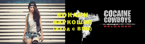 прущие грибы Баксан