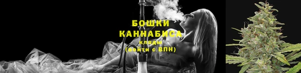 спиды Арсеньев