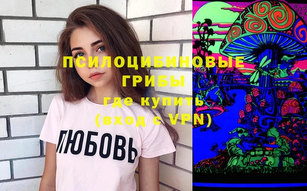 прущие грибы Баксан