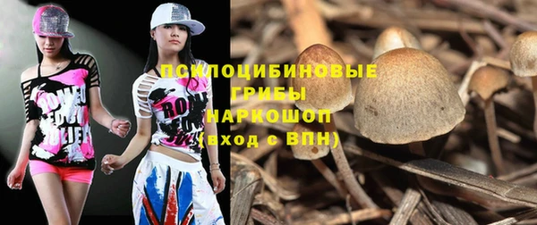 дмт Армянск