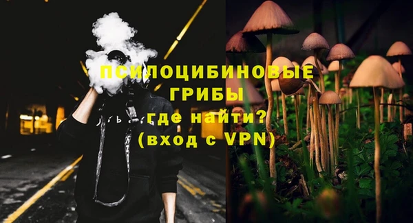 дмт Армянск