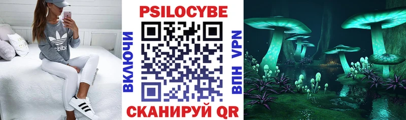 дарнет шоп  Свободный  Галлюциногенные грибы прущие грибы 
